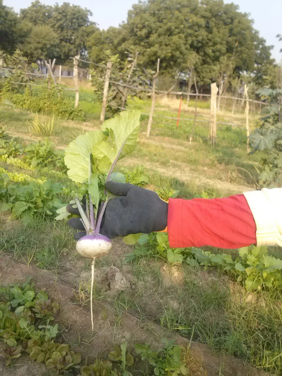 these are the kind of gloves we need! Venitex brand - lightweight 1200